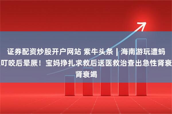 证券配资炒股开户网站 紫牛头条∣海南游玩遭蚂蚁叮咬后晕厥！宝妈挣扎求救后送医救治查出急性肾衰竭